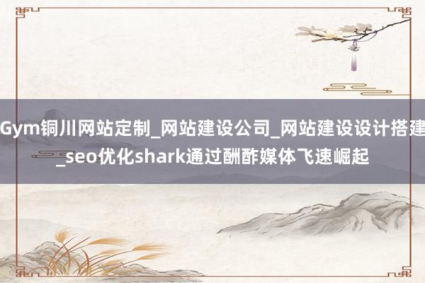 Gym铜川网站定制_网站建设公司_网站建设设计搭建_seo优化shark通过酬酢媒体飞速崛起