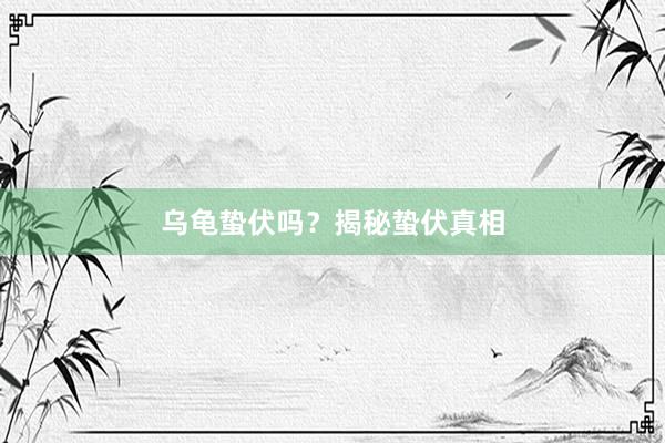 乌龟蛰伏吗？揭秘蛰伏真相